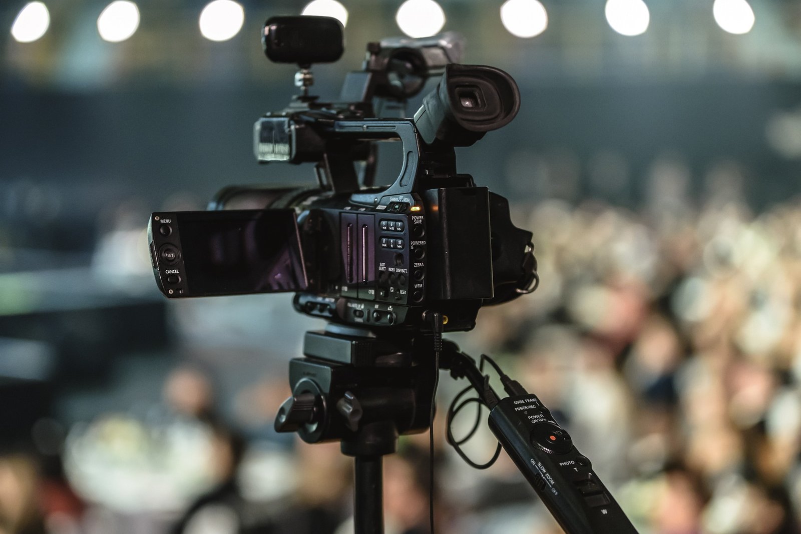 mp4moviez